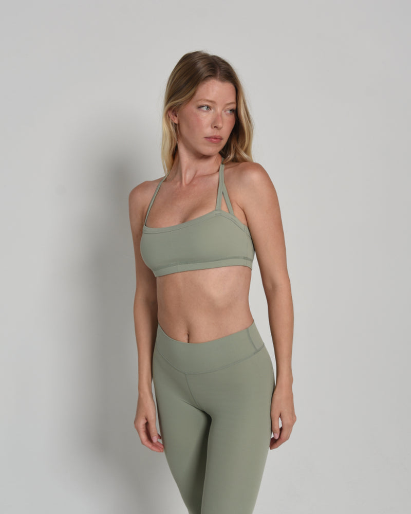 Sage Halter for Equestrian Riding